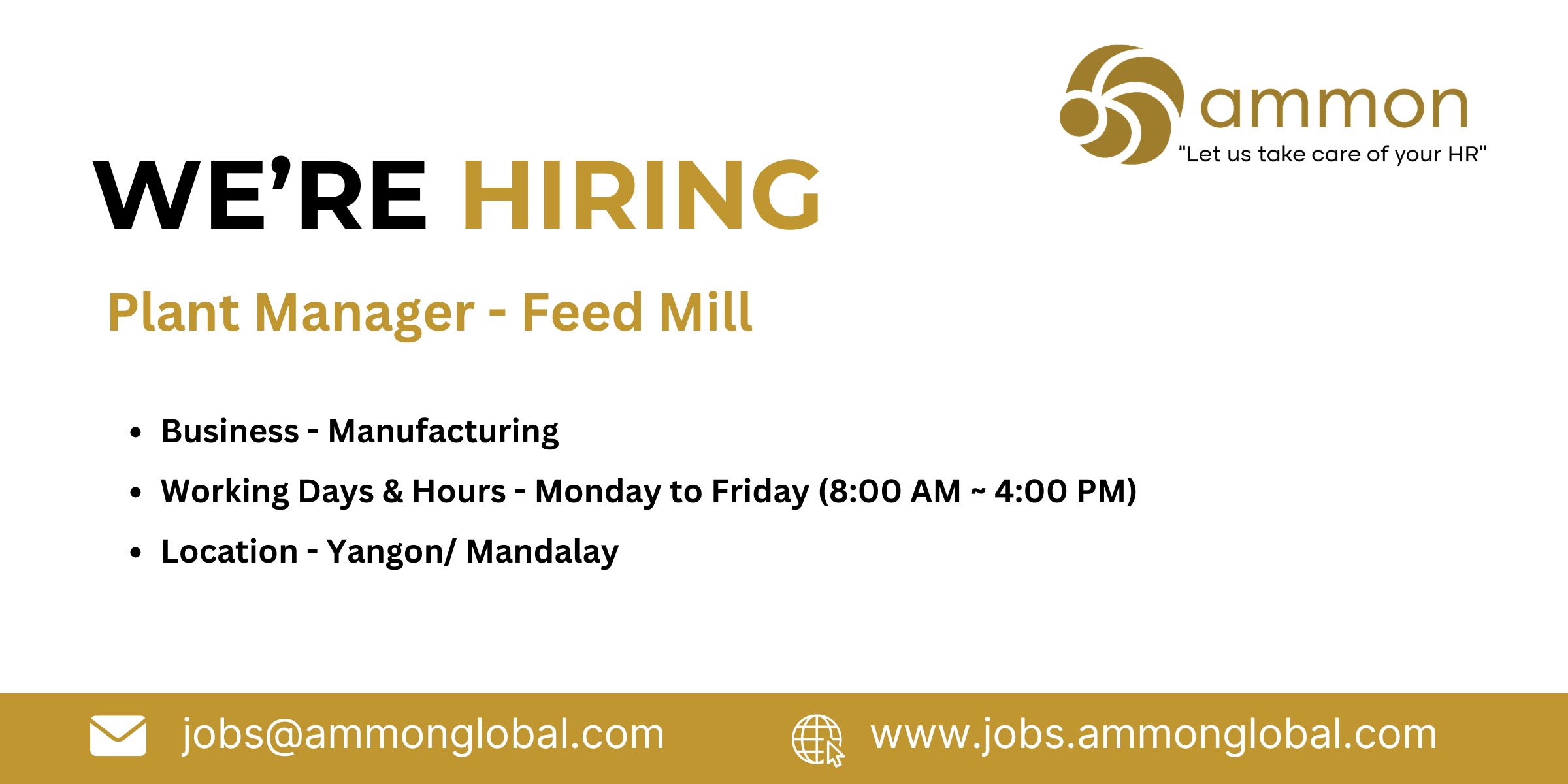 Job Ammon