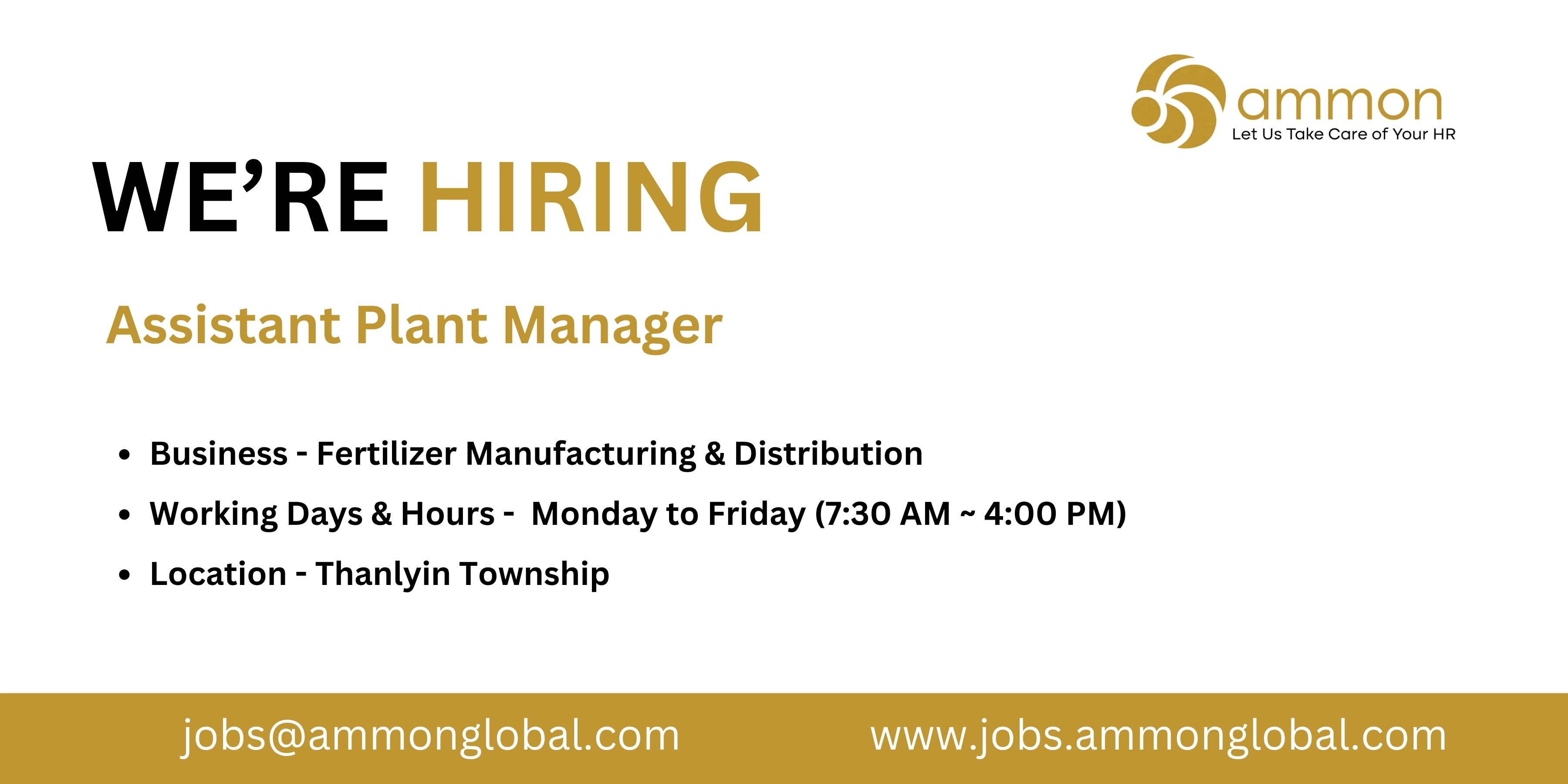 Job Ammon