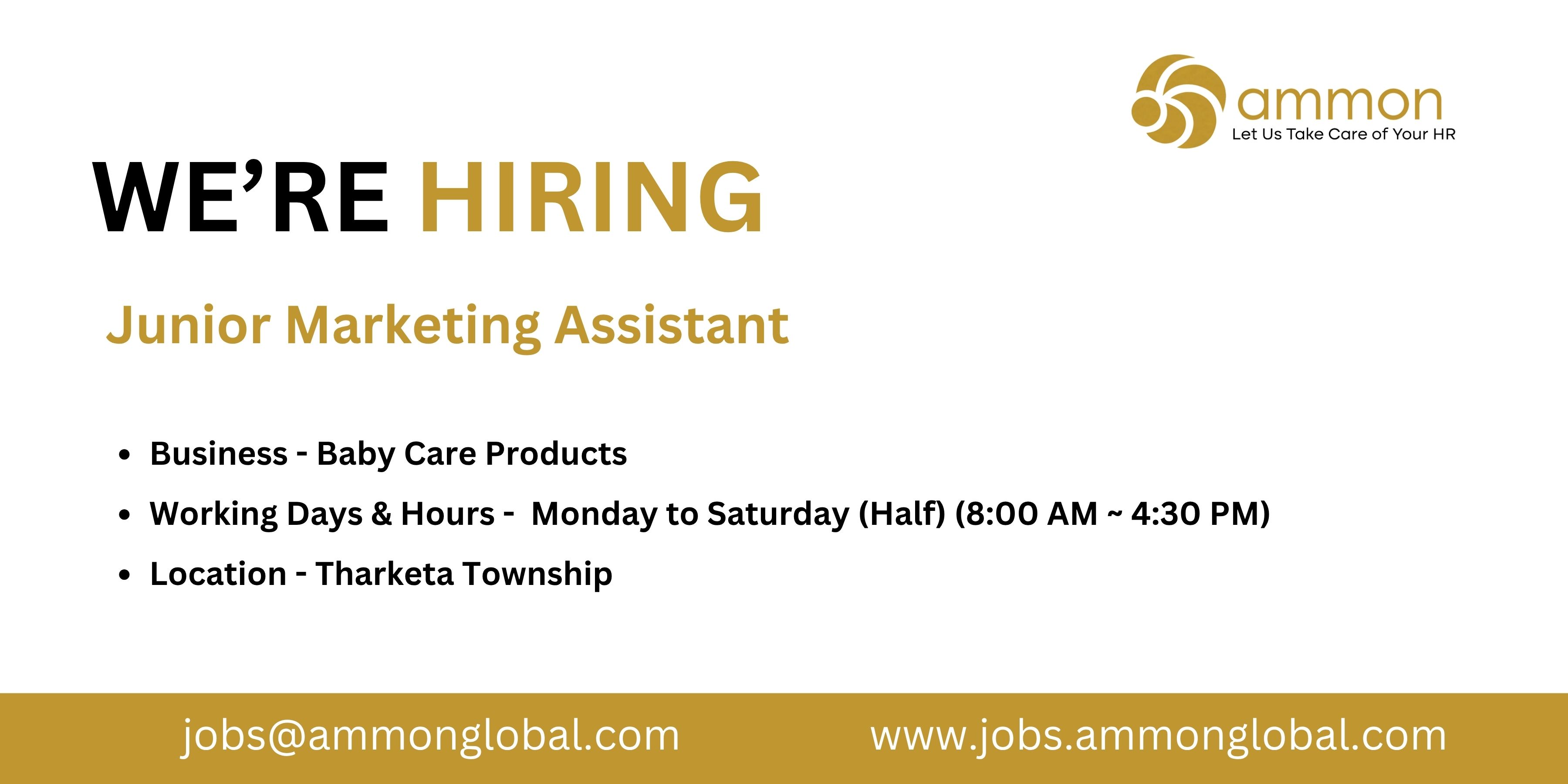 Job Ammon