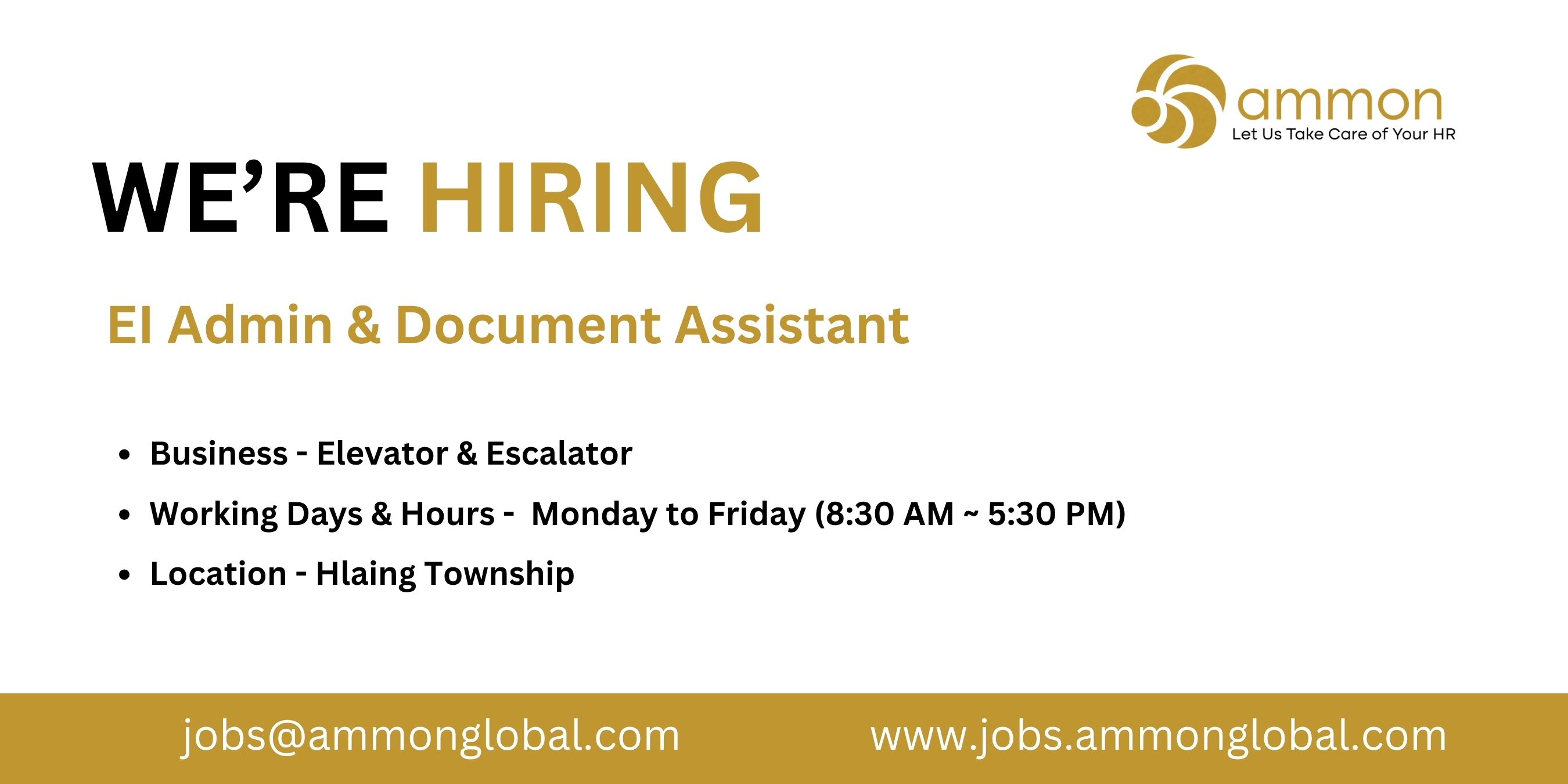 Job Ammon