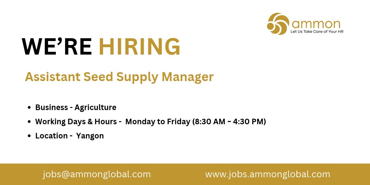 Job Ammon