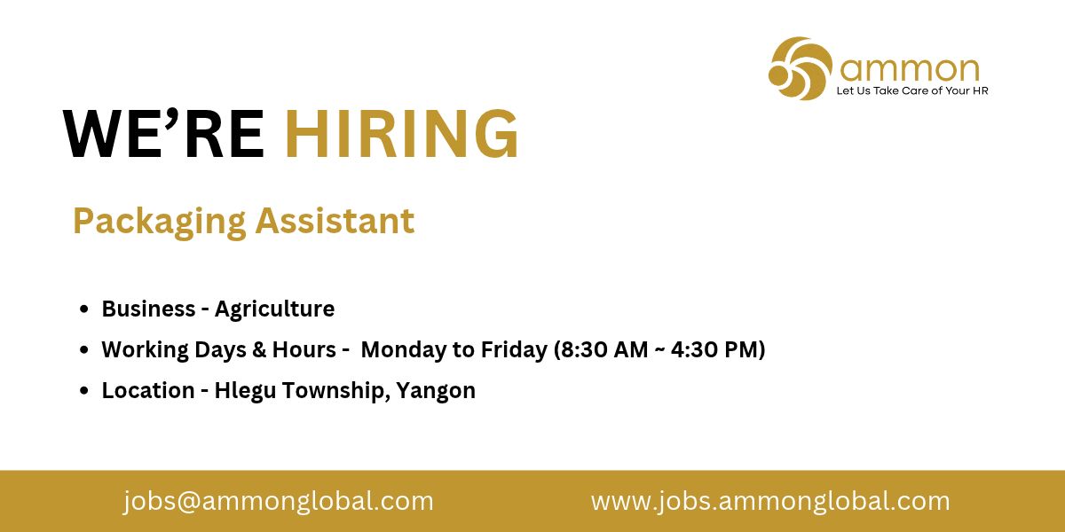Job Ammon